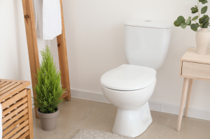 corner of bathroom with a toilet, plants, and side table