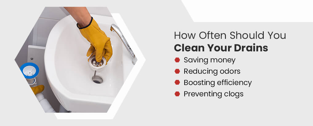 How Often Should I Clean My Drains at Home?