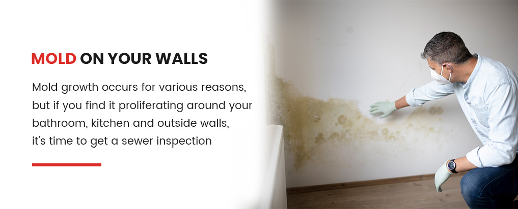 Mold on Your Walls