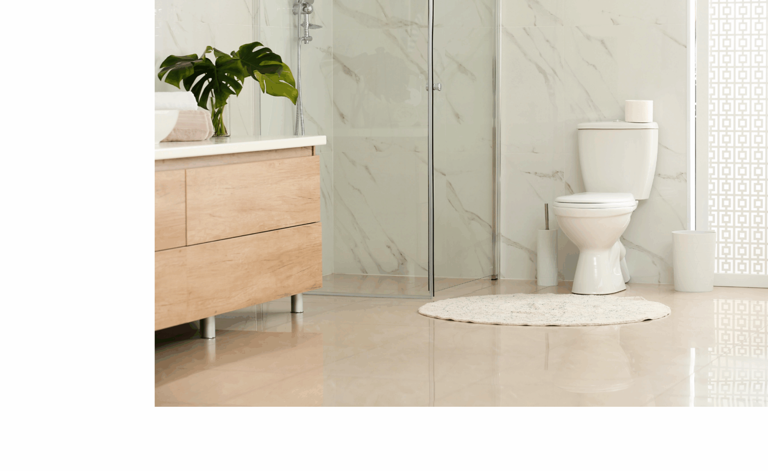 Toilet Plumbing Services